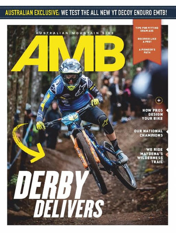 AMB Edition 175