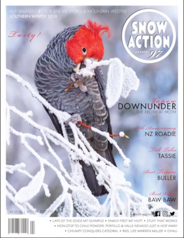 Snow Action Wild South Vol. 22 No. 1
